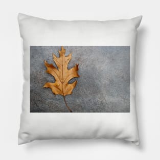 An Oak leaf Pillow