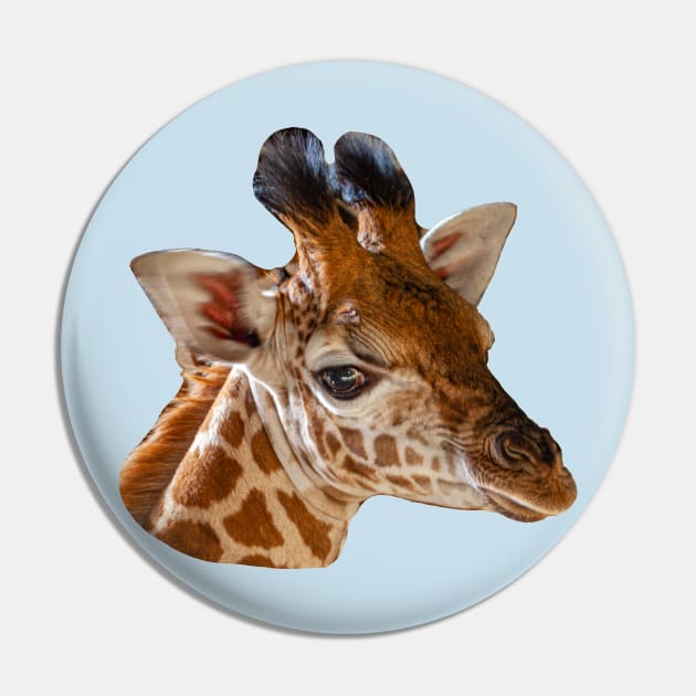 Young Giraffe Pin by dalyndigaital2@gmail.com