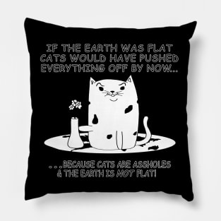 The Earth is NOT FLAT! Pillow