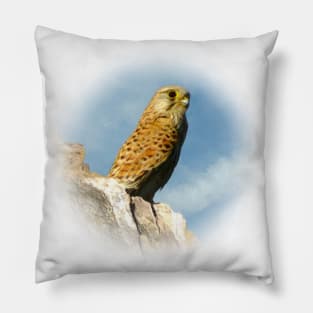 Kestrel Pillow