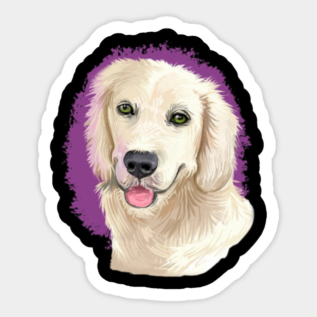 Art Golden Retriever Face Golden Retriever Smile Golden Retriever