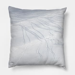 Skiers Paradise Pillow