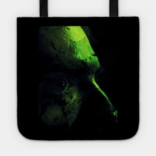 Portrait, digital collage and special processing. Man. Face, close up. Eye, forehead, nose. Dark shapes, like feather. Green. Tote