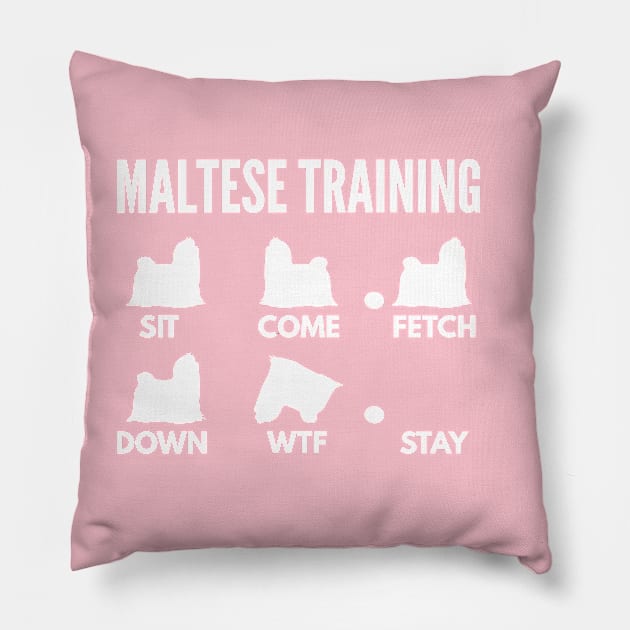 Maltese Training Maltese Dog Tricks Pillow by DoggyStyles