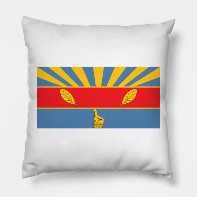 Harare Pillow by Wickedcartoons