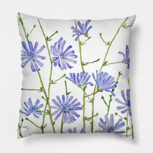 purple chicory watercolor Pillow