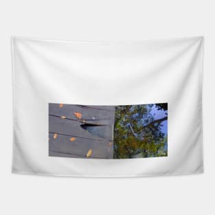 celestun ria wetland ecopark ecopop landscape photo in yucatan 1 Tapestry