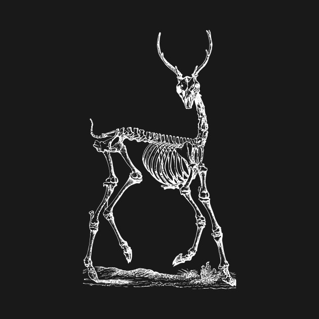 Deer Skeleton by tommartinart