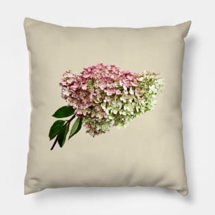 Hydrangeas - Sprig of Hydrangea Pillow