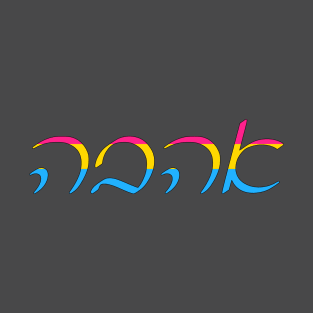 Ahavo - Love (Ashkenazi Cursive, Pan Pride Colors) T-Shirt