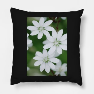 Beautiful White Flowers, for all those who love nature #138 Pillow