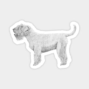 Soft coated wheaten terrier Magnet