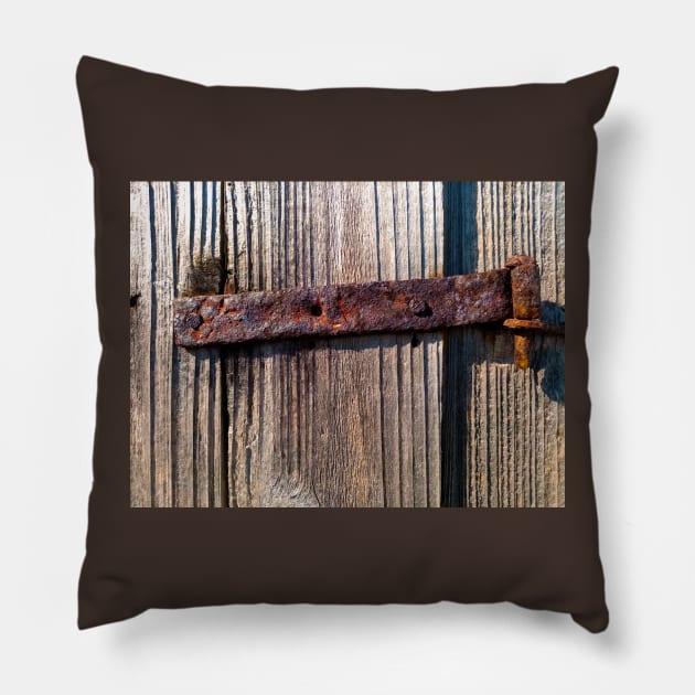 Old rusty hinge Pillow by Gaspar Avila