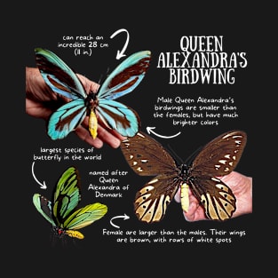 Animal Facts - Queen Alexandra's Birdwing T-Shirt