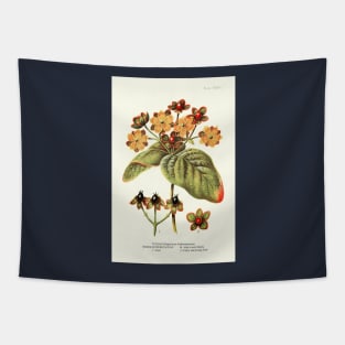 Tutsan St. John's Wort - Plant-life - Botanical Illustration Tapestry