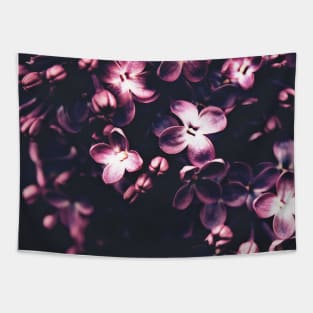 Lilac Tapestry