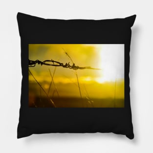 Heartland Pillow