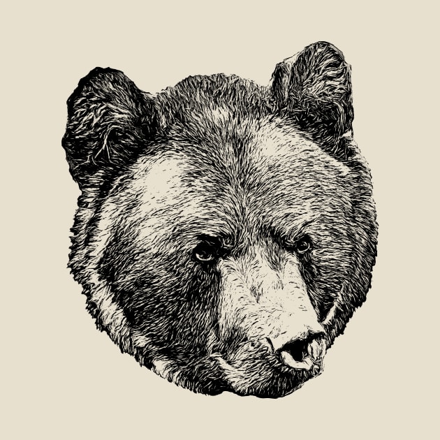 Brown bear portrait by Guardi