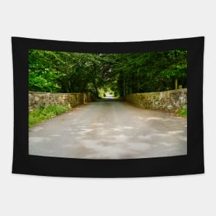 Rural Countryside Road & Trees - Rural Scenery - Ceredigion, Wales Tapestry