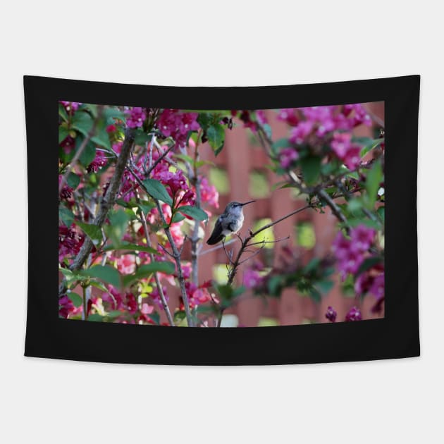 Pretty in pink Tapestry by SandiLin