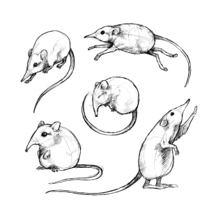 Sketches of an Elephant Shrew T-Shirt