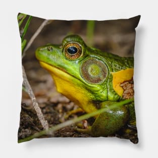 Big Ol' Green Frog Photograph Pillow