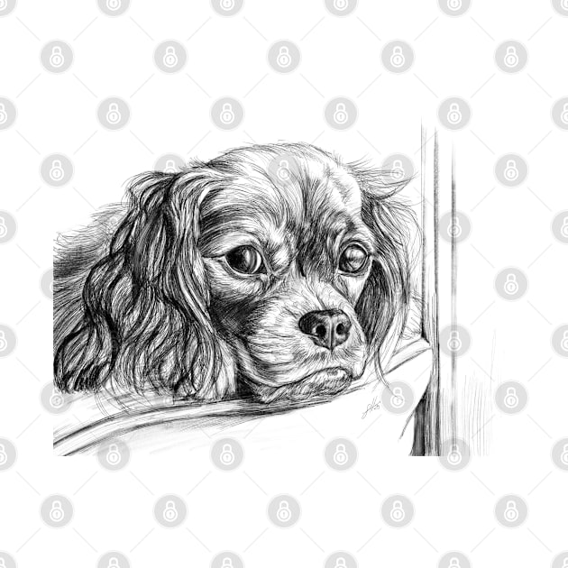 King Charles Spaniel by sophiedesigns