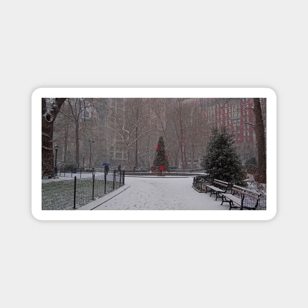 A Christmas Tree In the Snow, Madison Square Park, NYC Magnet by Chris Lord