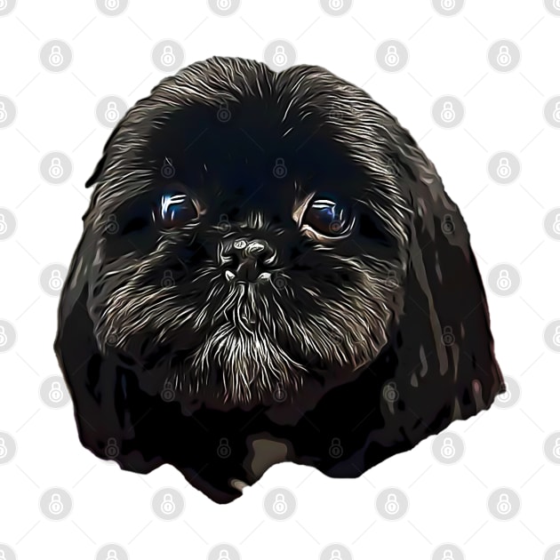 Shih Tzu Dog by ElegantCat