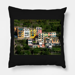 View on the cliff town of Manarola, one of the colorful Cinque Terre on the Italian west coast Pillow