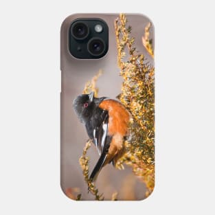 Eastern Towhee Phone Case