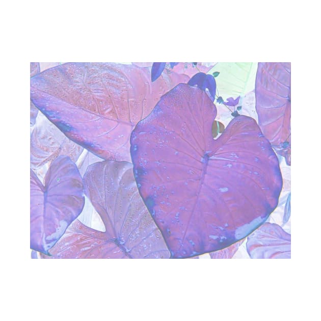 Eves Lilac Leaves by Alchemia