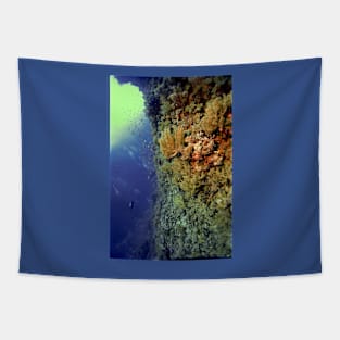 UNDERWATER LANDSCAPE PERSPECTIVES Tapestry