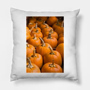 Pumpkins Pillow