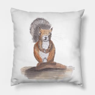Hand drawn squirrel using pen and ink and watercolors Pillow