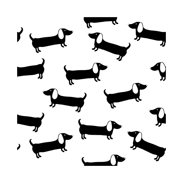 Cute dachshunds in black and white by bigmoments