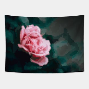 Pixel tenderness Tapestry