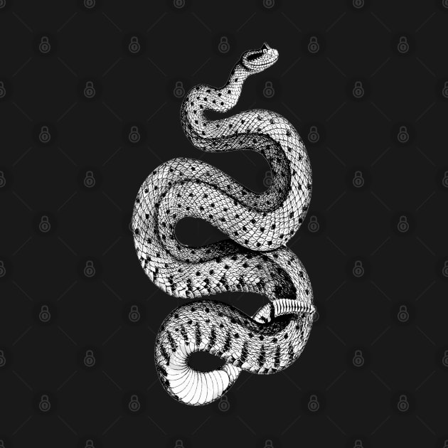 Horned Rattle snake by Blacklinesw9