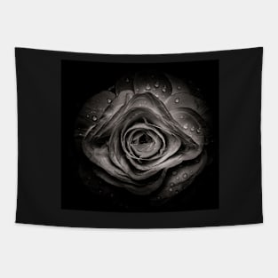 Backyard Flowers In Black And White 74 Tapestry