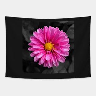 Bright pink flower with black background Tapestry