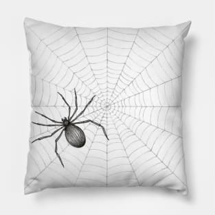 Spiders Web Pillow