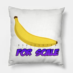 Universal Ruler Pillow