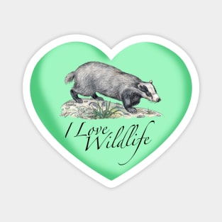 I Love Badgers Magnet