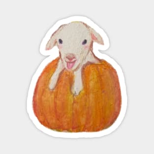 Pumpkin Season Magnet