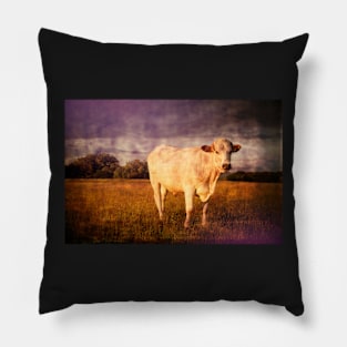 Bullock#3 Pillow