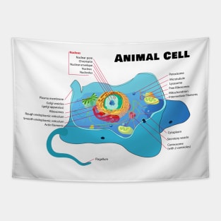 Structure of a Typical Animal Cell Tapestry