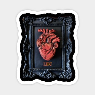 Life Gothic Anatomical Heart in Frame Magnet