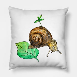 Snail Mail Pillow