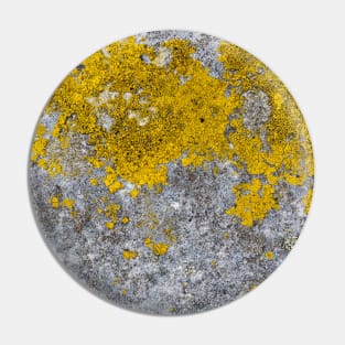 Vivid Yellow Mold Growth Pin