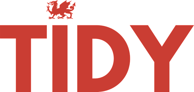 Tidy Cymru Kids T-Shirt by Teessential